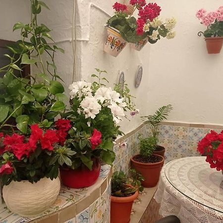 הוילה Villanueva de San Juan Casa Tipica De Pueblo Andaluz מראה חיצוני תמונה