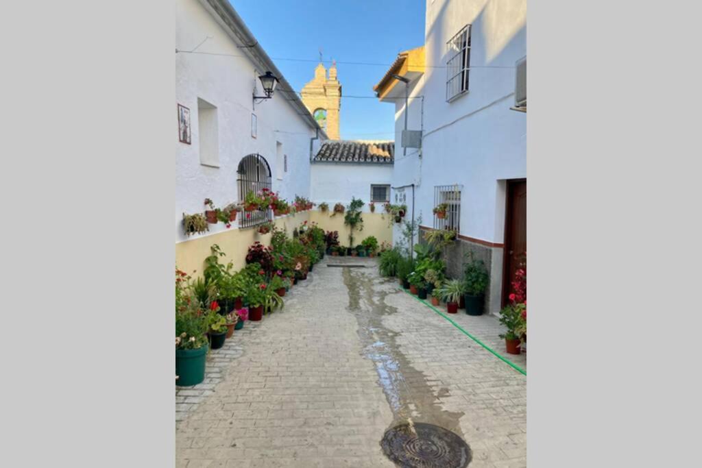 הוילה Villanueva de San Juan Casa Tipica De Pueblo Andaluz מראה חיצוני תמונה