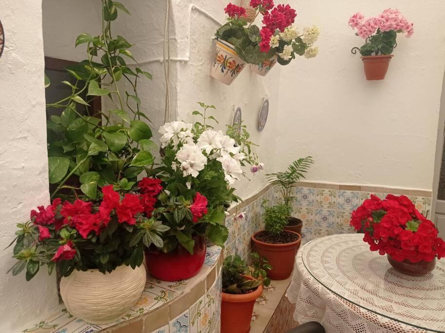 הוילה Villanueva de San Juan Casa Tipica De Pueblo Andaluz מראה חיצוני תמונה